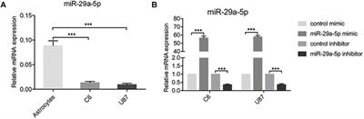 miR-29a-5p Regulates the Proliferation, Invasion, and Migration of Gliomas by Targeting DHRS4